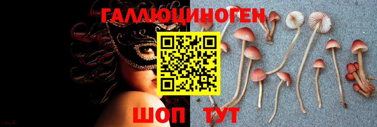 Псилоцибиновые грибы Psilocybine cubensis  Псилоцибиновые грибы мицелий  Ханты-Мансийск  Вход с VPN 
